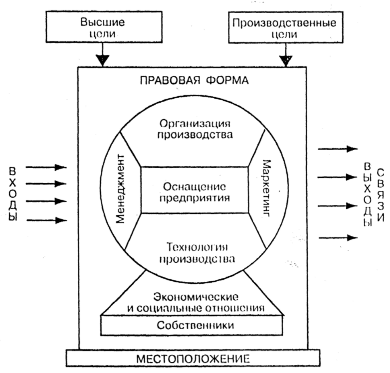 Организация как открытая система - Жизненный цикл организации