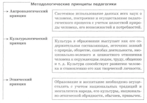 Общенаучные принципы и подходы методологии педагогики, применимые в преподавании географии - Исторические корни проектной методики