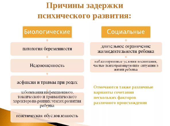 Особенности воспитания и обучения детей с задержкой в развитии - Причины возникновения задержки психического развития