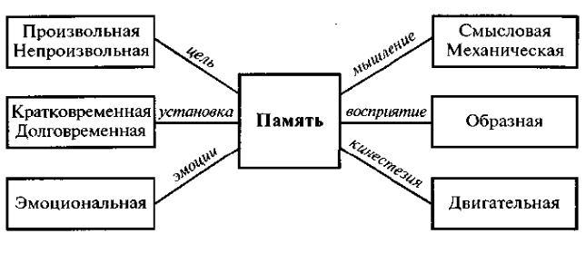 Мнемотехника и тренировка памяти - Методы запоминания. Происхождение и развитие мнемоники