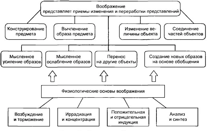 Механизмы переработки представлений в воображаемые образы - Сущность и виды воображения