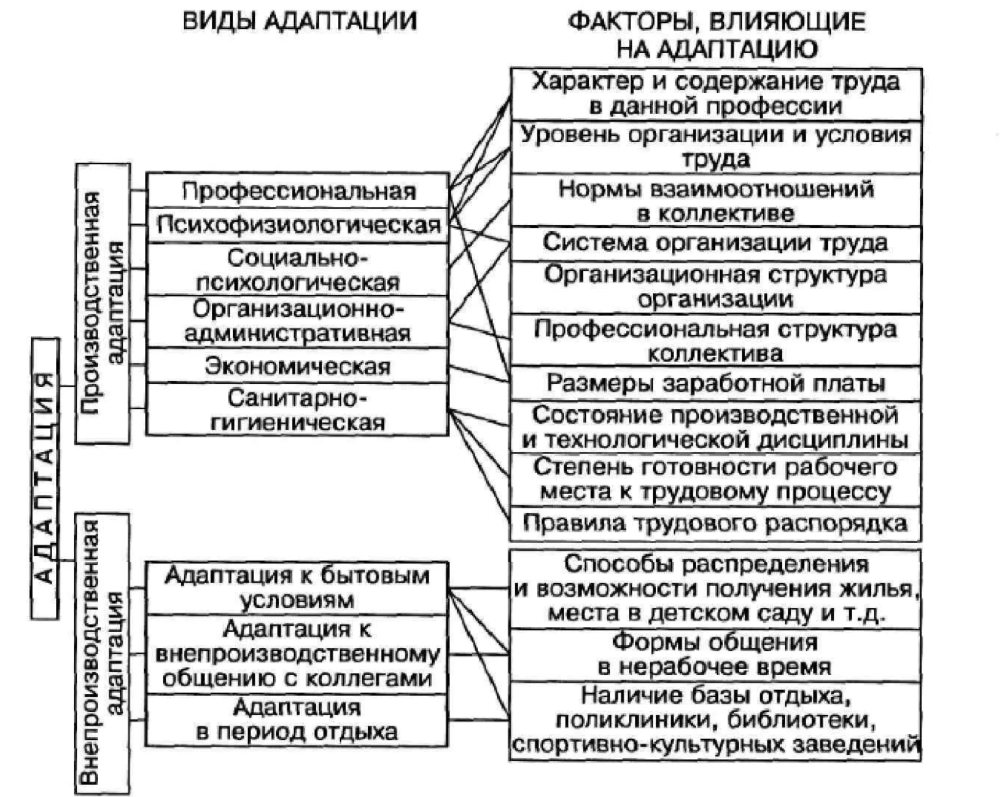 Основные подходы к управлению персоналом в спортивных клубах - Основные функции управления человеческими ресурсами