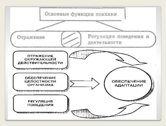 Механизмы психики человека - Психика - понятие, структура человеческой психики