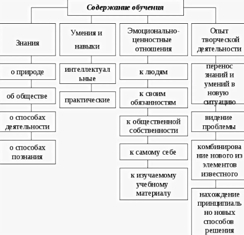 Содержание обучения