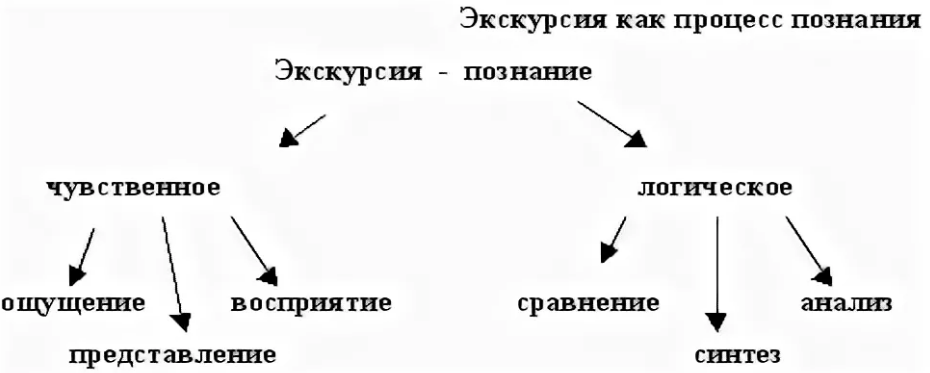 Методы эффективного проведения экскурсий учащихся на предприятие - Предмет и виды экскурсионных методик
