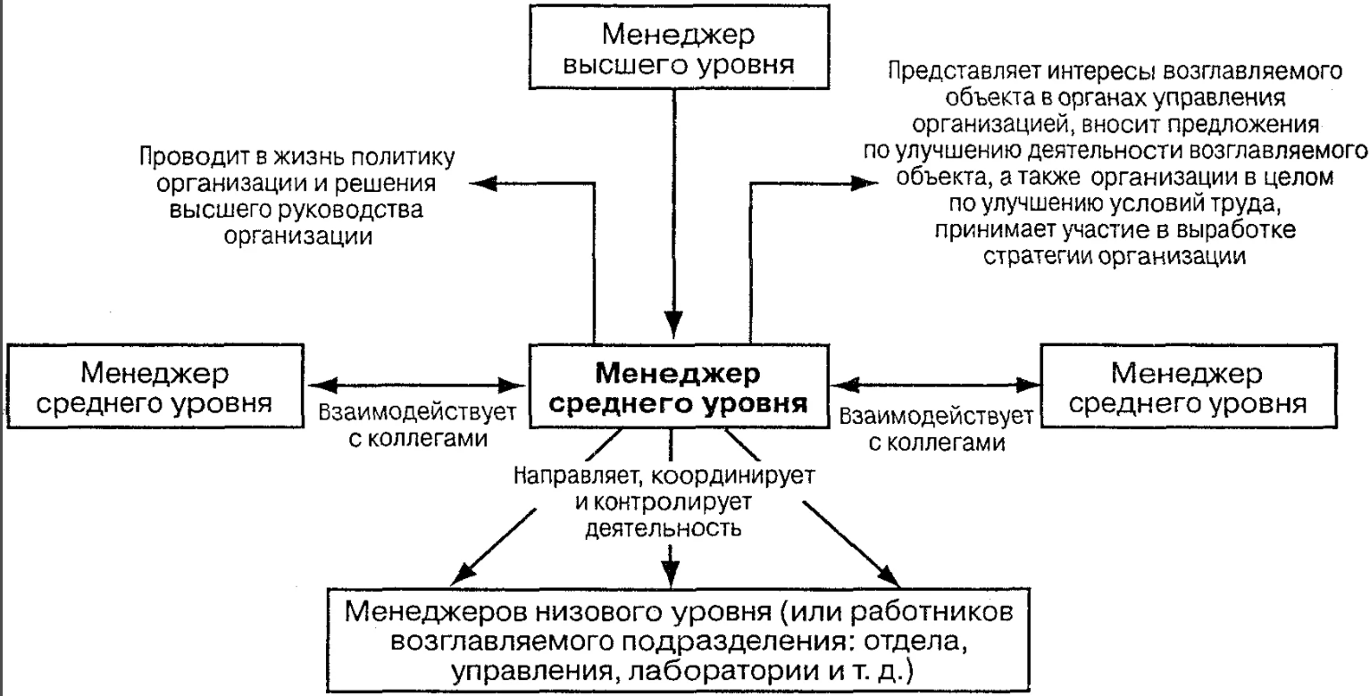 Организационные отношения в системе менеджмента - Общая характеристика организаций