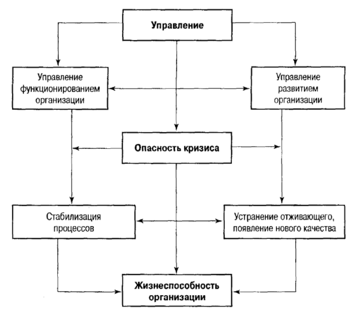 Управление и развитие - Рыночная система