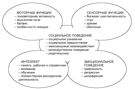 Сенсорное развитие детей 3-го года жизни как методическая проблема - Дидактическая игра как понятие