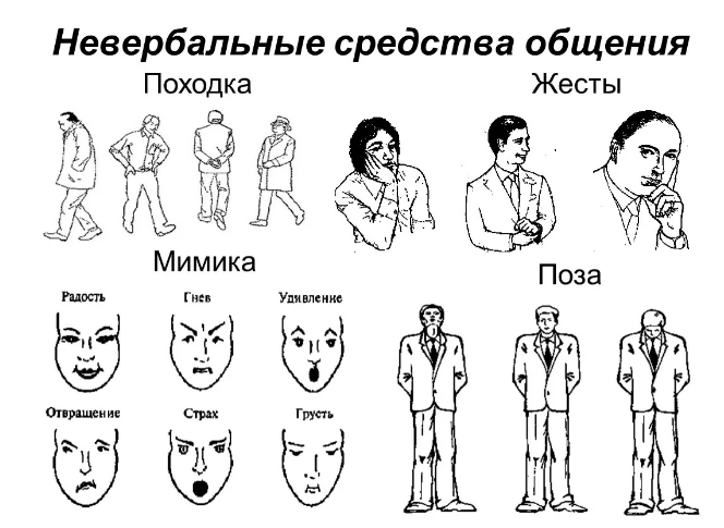 Невербальные проявления эмоций. Язык телодвижений - Роль невербальных средств в процессе общения