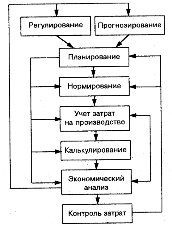 Организационное прогнозирование - Развитие как экономическая категория