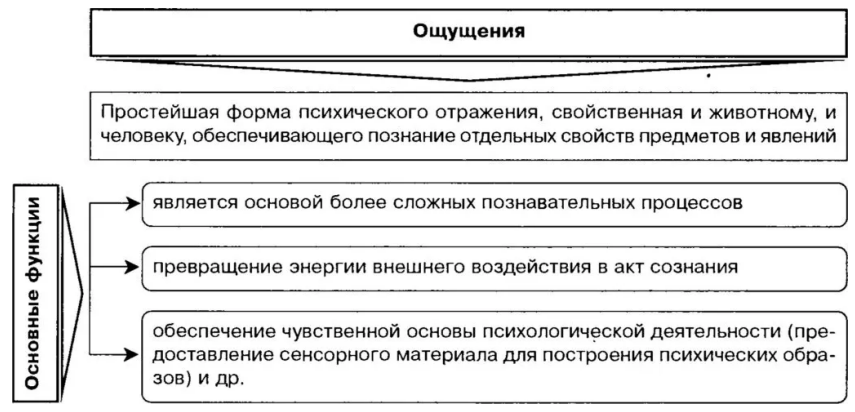 Ощущение как познавательный психический процесс