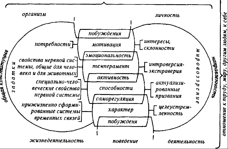 Нейродинамические свойства - Характеристика индивидуальных особенностей человека