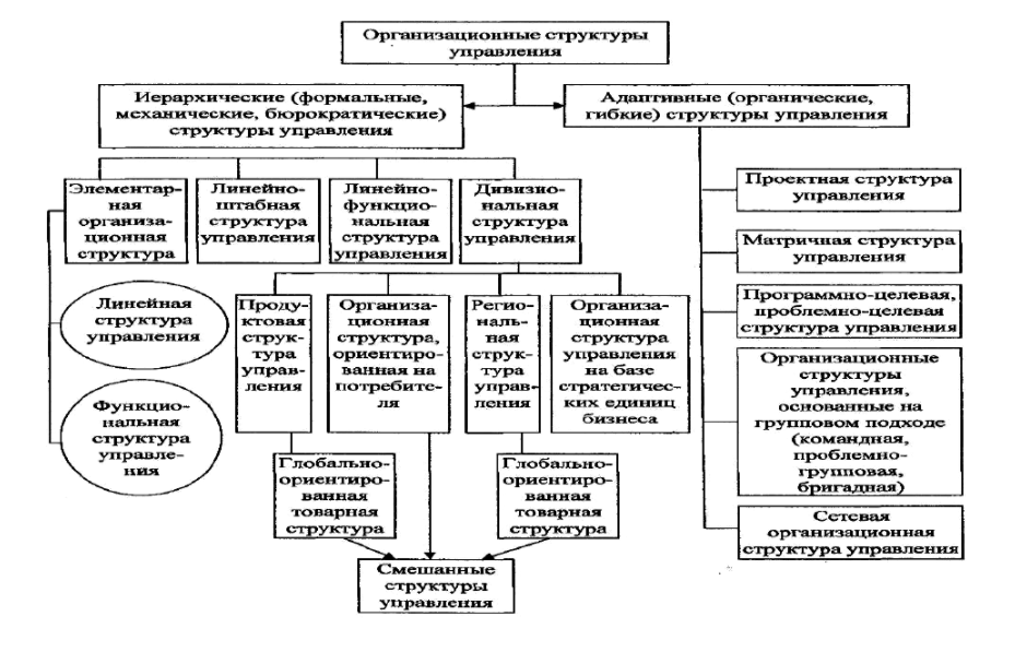 Органические структуры управления организацией - Принципы организационных структур