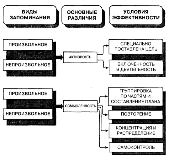 Непроизвольная память - Понятие памяти. Теории памяти