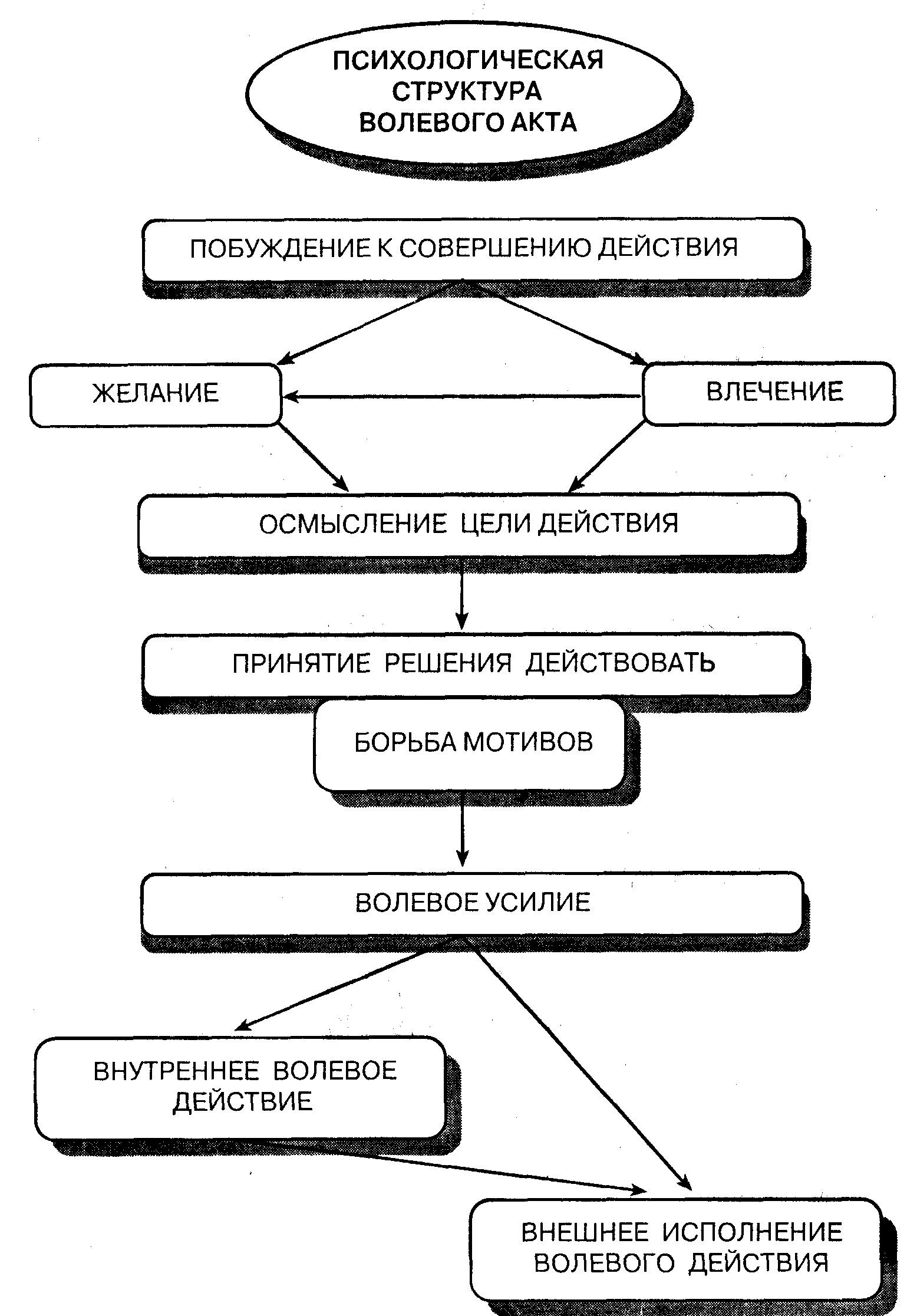 Психологические закономерности формирования воли - Психологическая структура воли