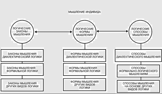 Словесно-логическое мышление у дошкольников с ОНР - Этапы развития мышления детей с условной нормой развития и ОНР