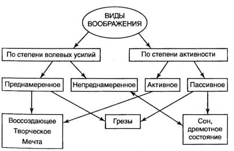 Представления. Воображение. Виды воображения. Влияние воображения на поступки - Понятие сущность представлений