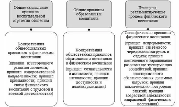 Система физического воспитания в школе