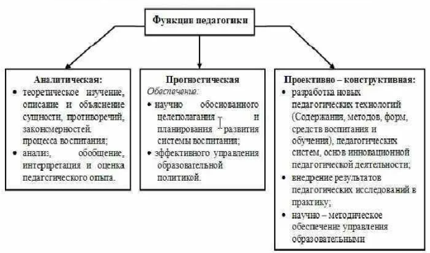 Специфика предмета педагогики
