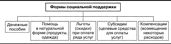 Социальная поддержка детей инвалидов в некоммерческих общественных организациях - Некоммерческие организации (НКО). Общие характеристики. Некоммерческая организация как субъект экономической активности