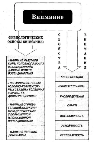 Нейропсихология внимания - Внимание и его свойства