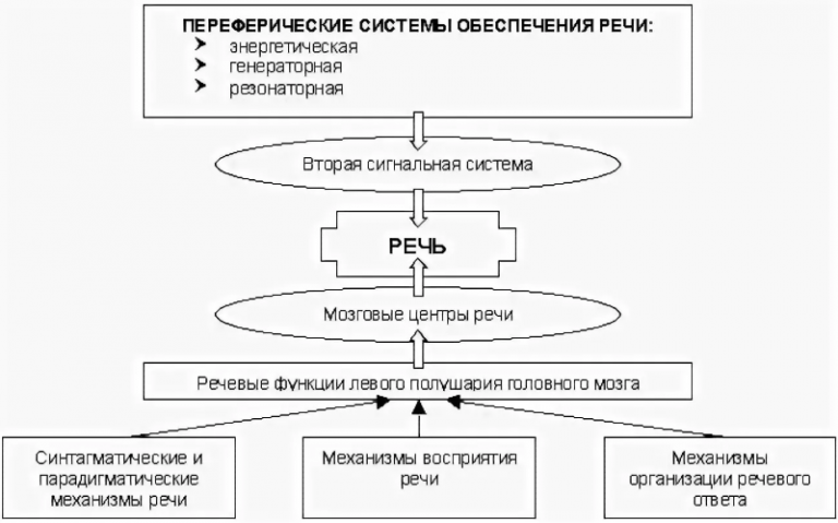 Локальный блок связи, тромбон-сорс-лбс, тромбон. Система оповещения динамик речевого схема подключить. Компоненты речевой функциональной системы. Речевая функциональная система. Психофизиологические механизмы речи схема.