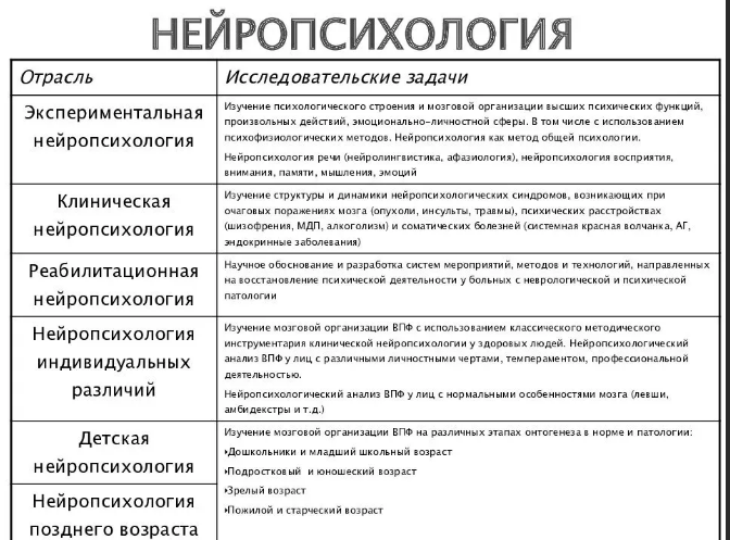 Нейропсихология - Подходы и направления в нейропсихологии