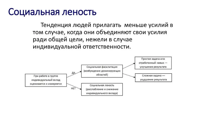 Понятие социальная леность в психологии - Что такое социальная леность?