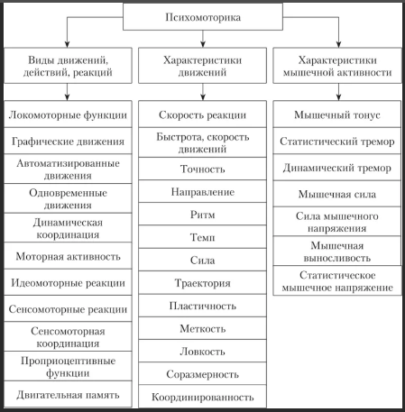 Психомоторные процессы - Что такое психомоторика