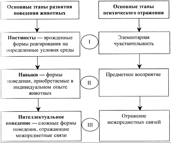 Наличие психических процессов у животных - Развитие психики и поведения у животных