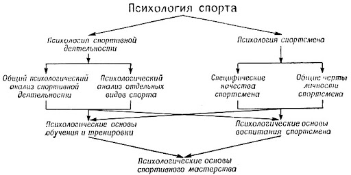 Психология в спорте - Возникновение и развитие психологии спорта