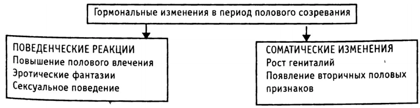 Особенности гендерной идентичности у девушек в юношеском возрасте