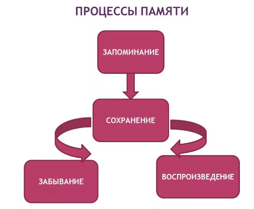 Память в клинической психологии - Память, как процесс сохранения информации о раздражителе