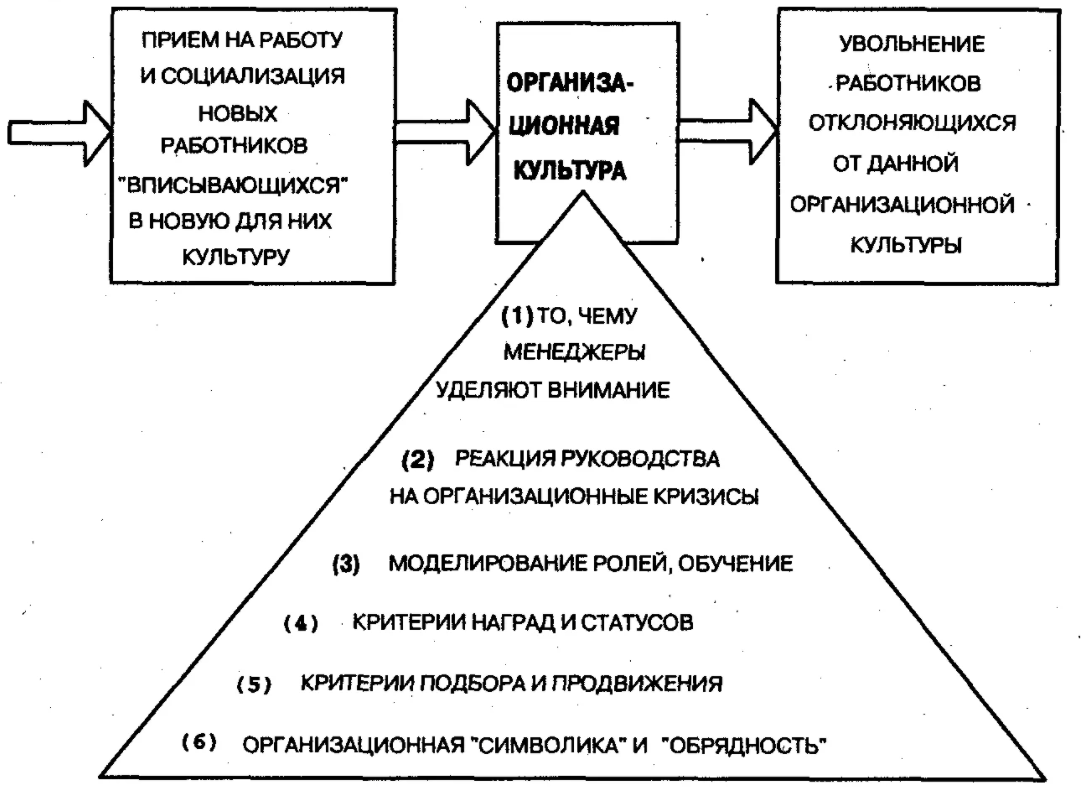 Организационная культура - Организационная культура как нормативный регулятор