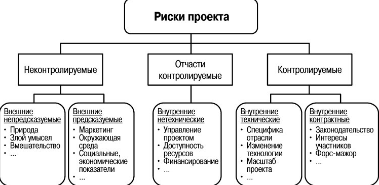 Проектный риск-менеджмент - Сущность риск-менеджмента предпринимательской деятельности