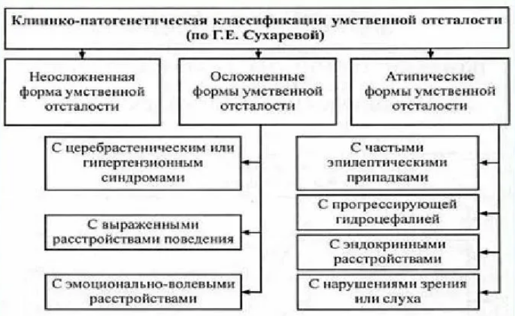 Особенности поведения умственно отсталых детей в дошкольном возрасте