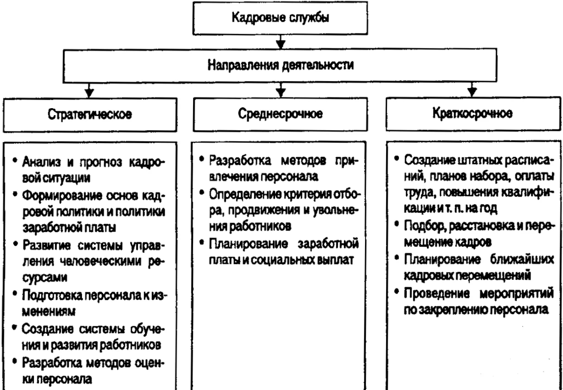 Разработка кадровой политики организации - Содержание кадровой политики