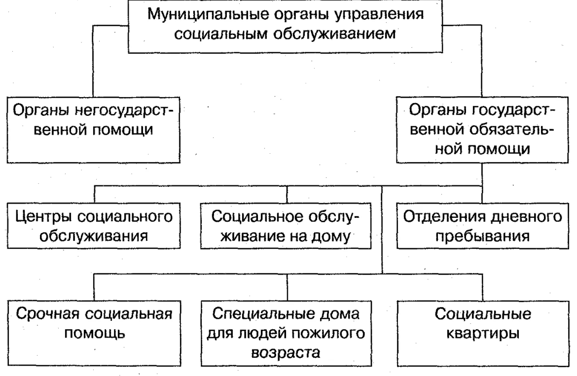 Разработка проекта по формированию системы социальной защиты работников предприятия - Социальные гарантии и социальная политика