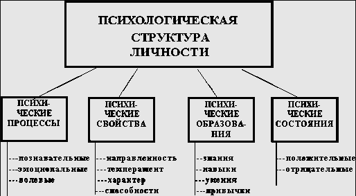 Понятие личности в психологии - Психологическая структура личности