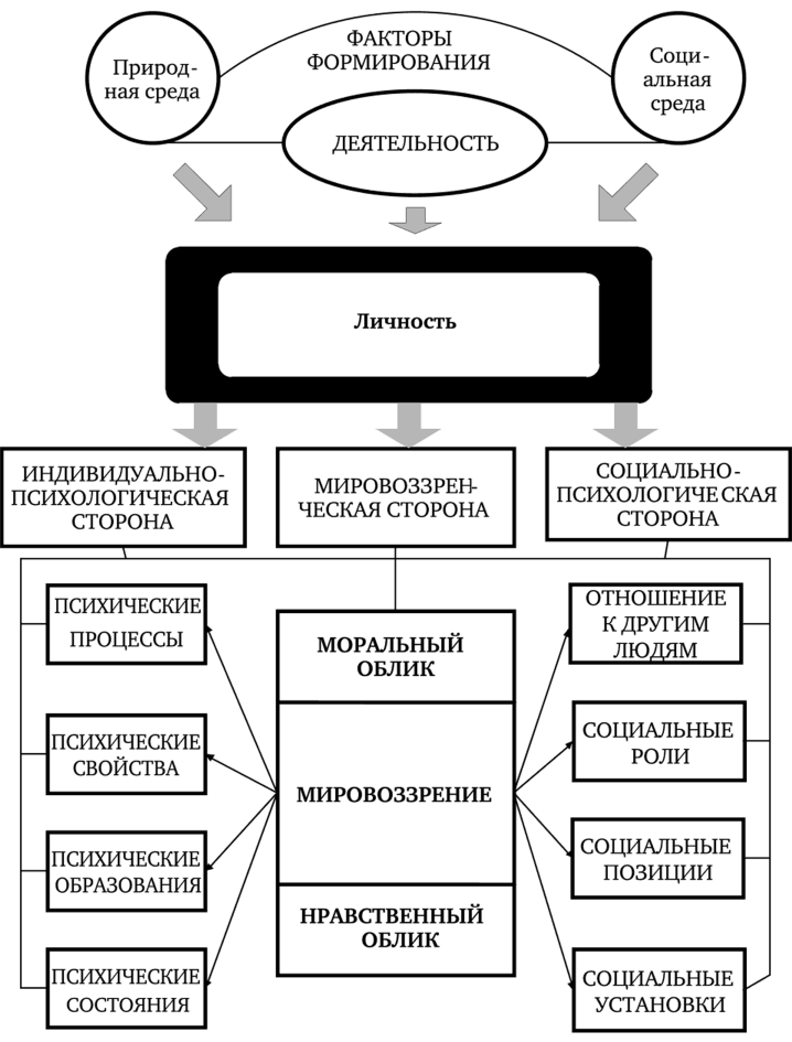 Психологическая структура личности - Темперамент