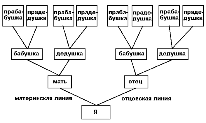 Воспитание детей в дворянских семьях - Условия домашнего воспитания детей в дворянских семьях