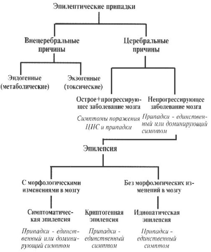 Воспитание ребенка с эпи синдромом - Рекомендации родителям о правилах поведения при возникновении приступа и особенностях жизнедеятельности ребенка больного эпилепсией