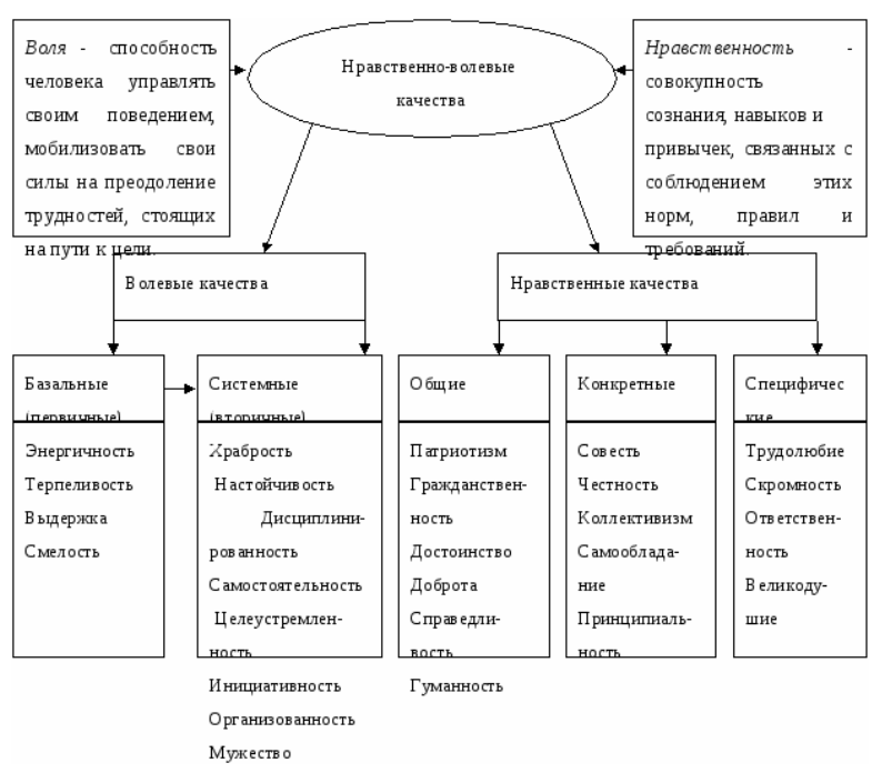 Воспитание волевых качеств детей - Волевые качества личности