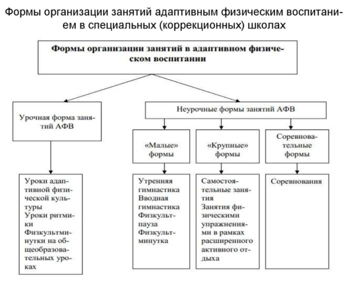 Воспитание в коррекционной школе - Виды коррекционной деятельности