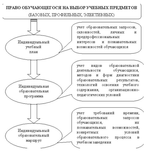 Виды учебных планов - Цели и содержание современного образования