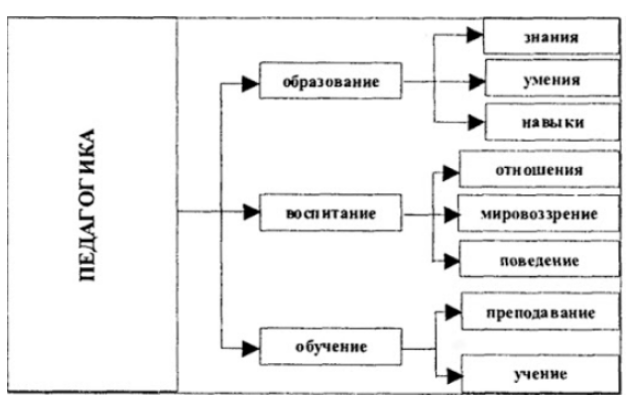 Возникновение и развитие педагогики - История педагогики