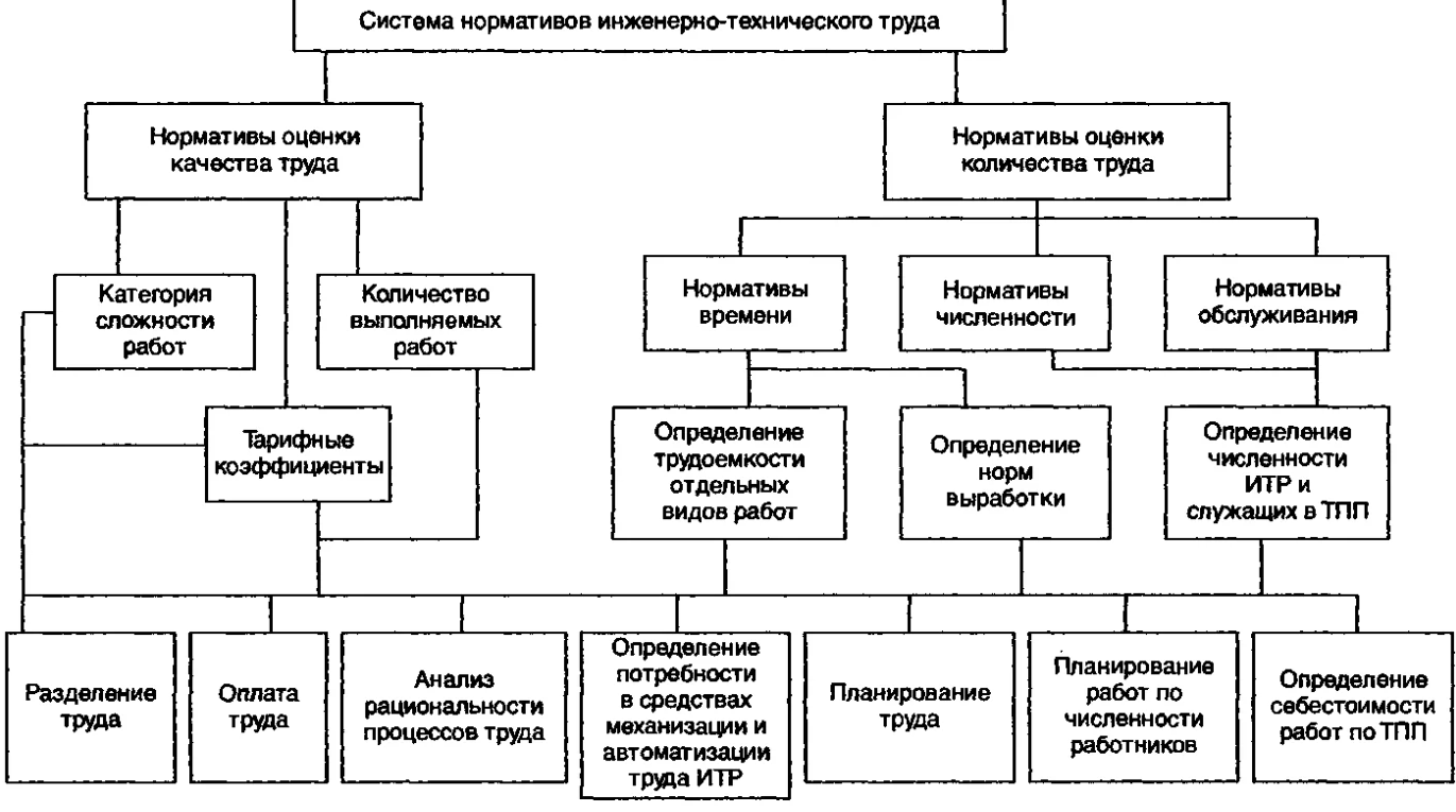 Разделение труда в организации - Сущность разделения труда и его виды