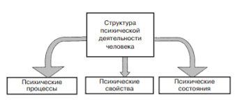 Психология привычки, роль привычек в жизнедеятельности людей - Навыки и привычки, их роль в развитии личности