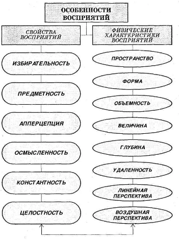 Нарушение восприятия - Теории восприятия