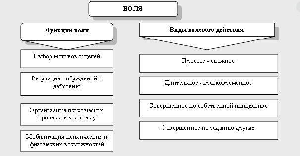 Воля и волевые действия - Основные принципы